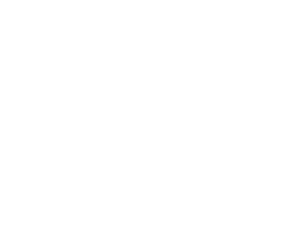 Montaža budućnosti