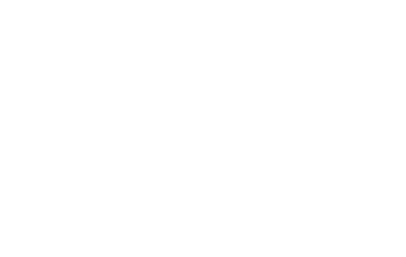 Digitalni minimalizam