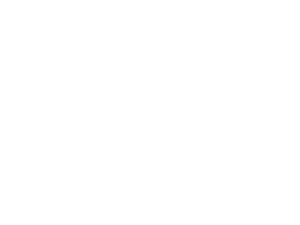 Majstorska posla
